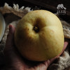 有机绿宝石梨 | 合作生产 *Organic emerald  pear | Partner Production 商品缩略图3