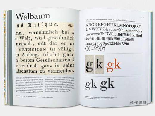 Revival Type: Digital Typefaces Inspired by the Past 复古字形 文字设计 字体设计 商品图4