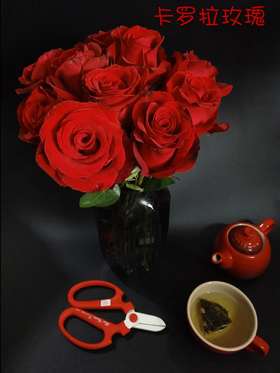 【秒杀福利】卡罗拉（红玫）20枝/扎