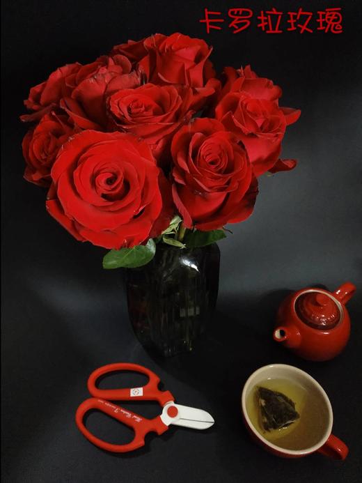 【秒杀福利】卡罗拉（红玫）20枝/扎 商品图0