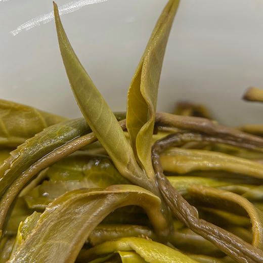 凰馨古茶【铜箐河】普洱生茶2020年600年古树春茶200g 商品图1