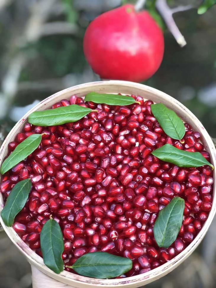 突尼斯软籽黑钻石榴新鲜上市现摘现发