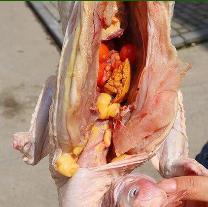 山上生态放养养殖160天杀好约2斤1只鸡鸭88元起隔天活鲜免费同城配送