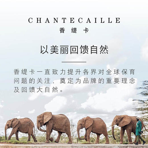 Chantecaille/香缇卡隔离霜自然肌肤轻底妆50g保湿遮瑕打底妆前乳 商品图4