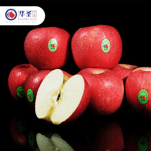 华圣红富士苹果/一级铂金果12枚飞机盒2.4kg 商品图1