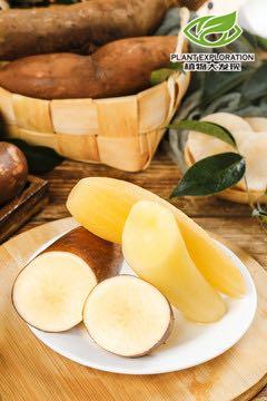 云南高原天山雪莲果 商品图0