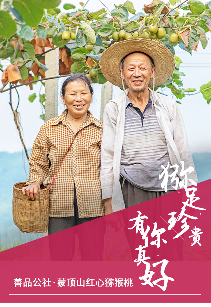 红心猕猴桃善品公社四川雅安猕足珍贵有你真好2020年新鲜上市