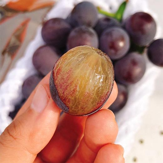 每年必吃~【特级甬尤葡萄】约3.7斤/箱，甜蜜爆汁 商品图0