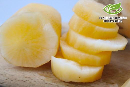 云南高原天山雪莲果 商品图1