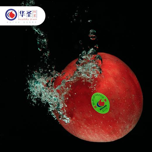华圣红富士苹果/混级果24枚套箱4.8kg 商品图4