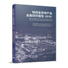 陕西省房地产业发展研究报告（2019） 商品缩略图0