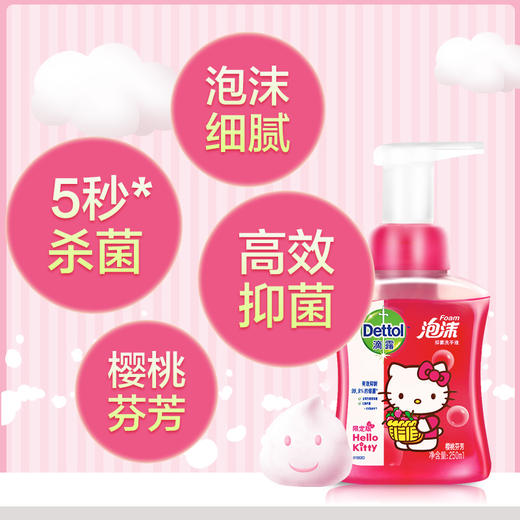 滴露泡沫抑菌洗手液 杀菌 樱桃香250ml*2 商品图0