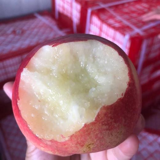 来自新疆和田雪桃集颜值与口感于一身的香甜多汁桃香浓郁甘甜如蜜入口