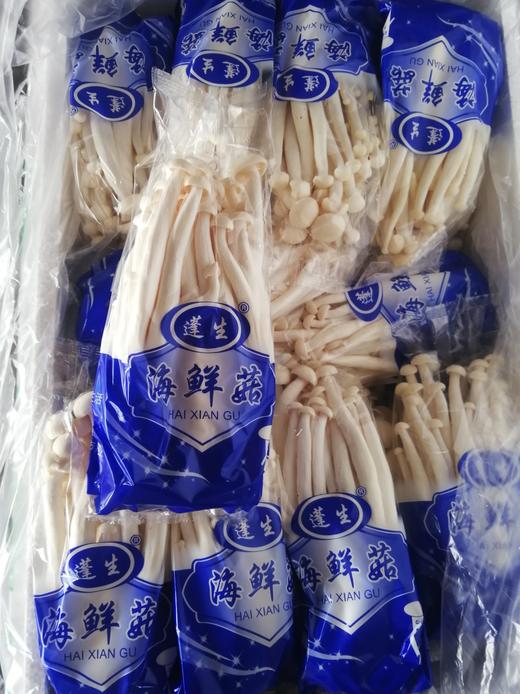 海鲜菇1袋2袋自选