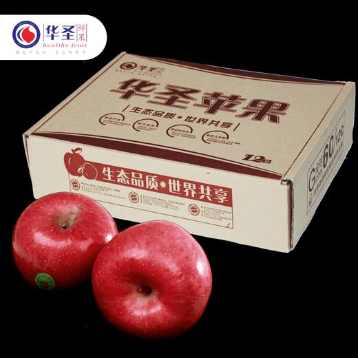华圣红富士苹果/一级铂金果12枚飞机盒2.4kg 商品图0