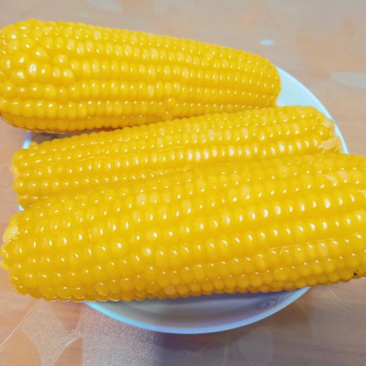 【山西静乐黄糯玉米10根】甜糯鲜嫩，真空锁鲜包装，高压灭菌，粗粮早餐的不二选择！ 商品图5