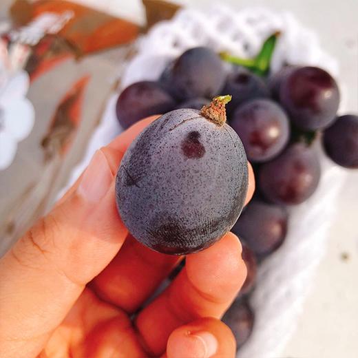 每年必吃~【特级甬尤葡萄】约3.7斤/箱，甜蜜爆汁 商品图2