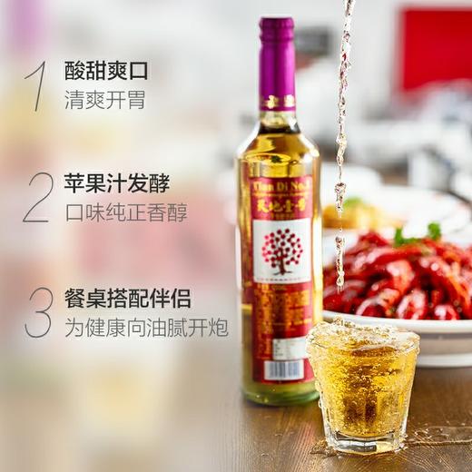 天地壹号苹果醋礼盒装650ml*4瓶/提 商品图2