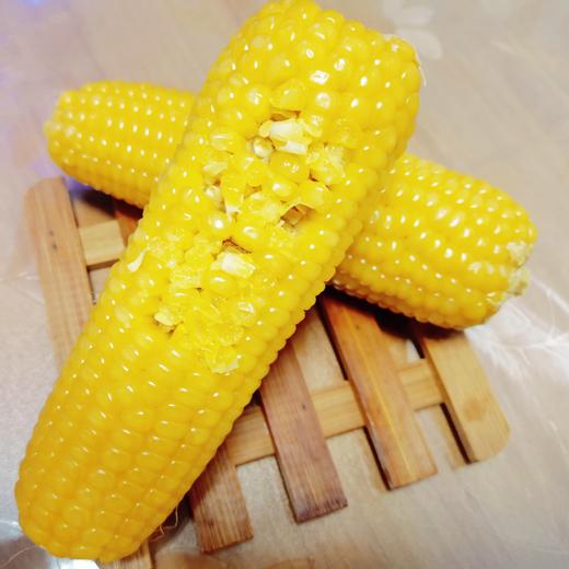 【山西静乐黄糯玉米10根】甜糯鲜嫩，真空锁鲜包装，高压灭菌，粗粮早餐的不二选择！ 商品图4