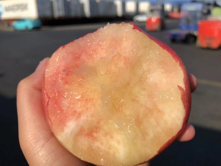 来自新疆和田雪桃集颜值与口感于一身的香甜多汁桃香浓郁甘甜如蜜入口