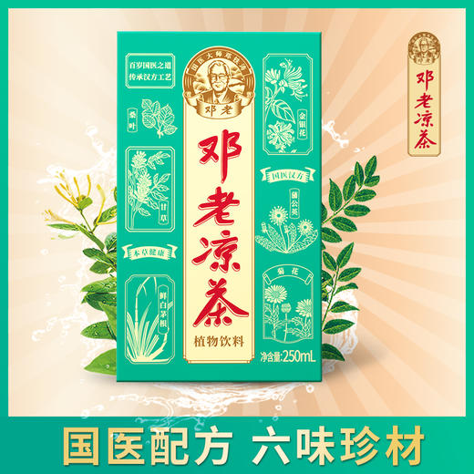 【系统异常，联系客服下单】邓老凉茶植物饮料利乐包250ml*24/箱 商品图1