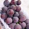 每年必吃~【特级甬尤葡萄】约3.7斤/箱，甜蜜爆汁 商品缩略图3