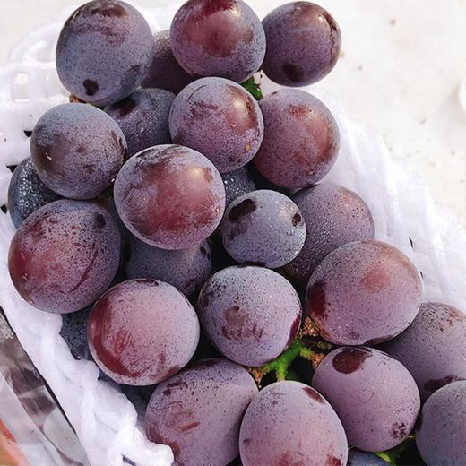 每年必吃~【特级甬尤葡萄】约3.7斤/箱，甜蜜爆汁 商品图3