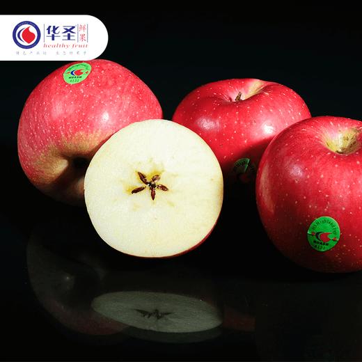 华圣红富士苹果/一级铂金果12枚飞机盒2.4kg 商品图3