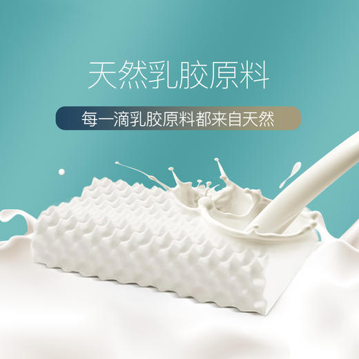 施力普 | 按摩乳胶枕 多维气孔吸湿散热   恒温零压修复  ST010-T 商品图1