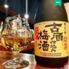 日本进口 古酒沉浸3年沢泽之鹤古酒浸泡青梅酒 梅子酒果酒 720ML RDCT 商品缩略图2