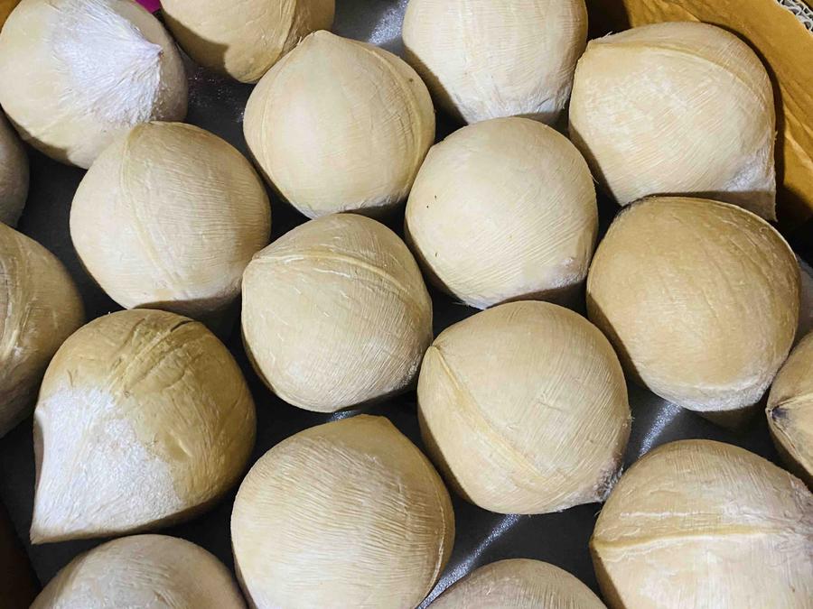 泰国ac进口奶椰,新鲜椰汁, 果香浓郁,老少皆宜,一份6个,省内包邮,自提