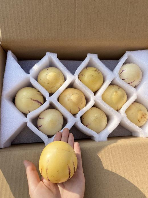 云南石林人参果 不同大小净重5斤 全国包邮 商品图7