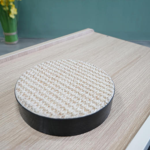 CatS猫家具 复古照相机拼色木制猫屋猫窝 猫咪玩具 包邮 商品图3