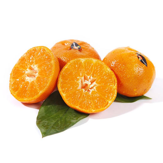 5/4颗】clemen gold柯莱蒙 南非进口柑橘 软皮柑 大果 单果160g左右