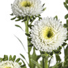 配花 | 翠菊白色 商品缩略图0