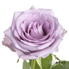 单头玫瑰 | 海洋之歌 商品缩略图1