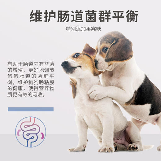 麦富迪狗狗零食宠物羊奶粉300g哺乳期犬奶粉通用泰迪金毛营养品 商品图4