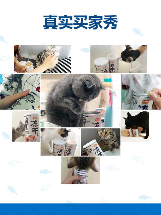 【赠品链接】麦富迪猫零食冻干鸡胸肉成幼猫磨牙冻干猫粮肉猫咪宠物营养增肥 商品图1