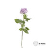 单头玫瑰 | 海洋之歌 商品缩略图3