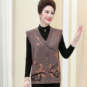 QYY-jp6077新品老年人春秋背心服薄款外穿马甲