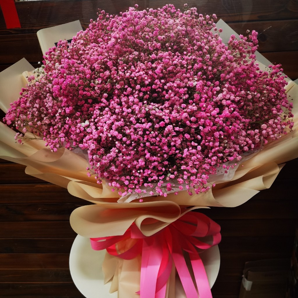 【不期而遇】超大号满天星花束 花语:你是我的满心欢喜 - 小丑鲜花