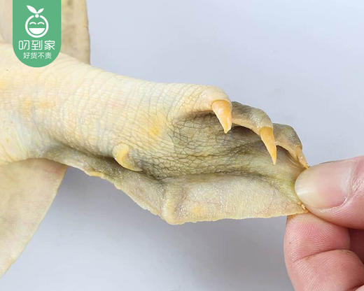 活杀甲鱼/1只（400-450g） 商品图3