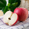 2025年嘎啦新果陕西顶端果业洛川苹果礼盒10枚80mm 水果礼盒 商品缩略图4