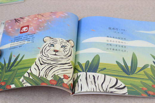 经典国学启蒙（全6册） 商品图3