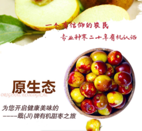 新疆原生态有机牛奶鲜冬 枣自然成熟 脆枣