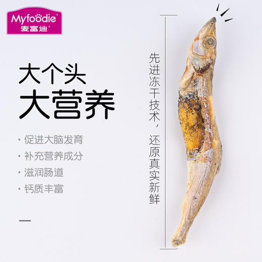 麦富迪冻干小鱼干猫咪零食多春鱼满籽猫咪营养增肥无盐猫粮成幼猫 商品图1