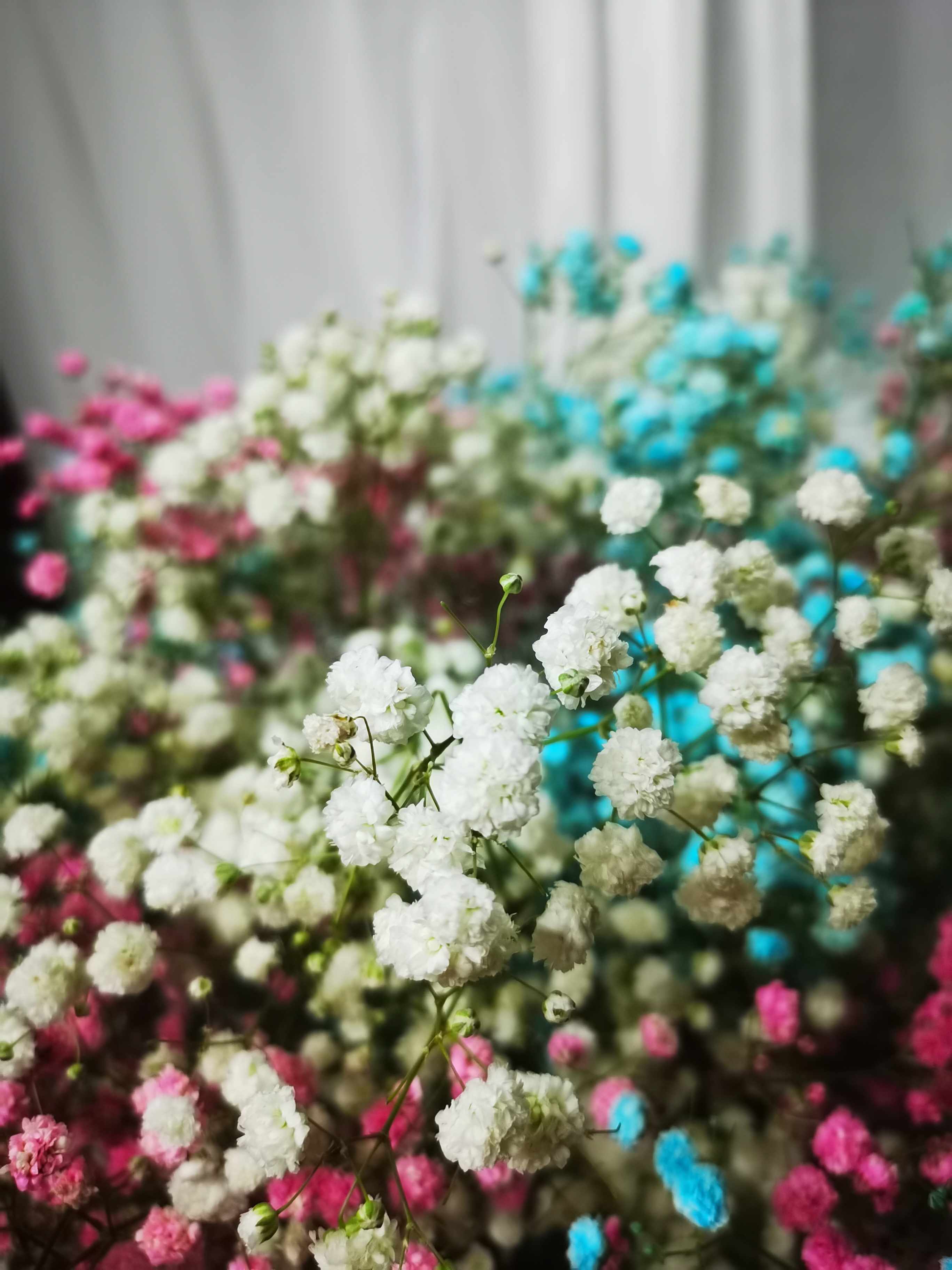 爱的告白三色甜蜜满天星花束七夕推荐