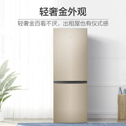 海尔 （Haier）178升 两门直冷 节能静音 金属背板 铝板蒸发器 低温补偿小冰箱BCD-178TMPT 商品图2