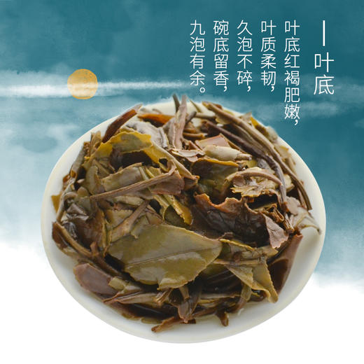 霏鸿茶叶 福鼎白茶特级寿眉正宗日晒自然存放生态老枞贡眉茶叶357g 商品图5