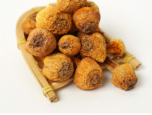 车溪人家新鲜特产干货煲汤佳品姬松茸200g